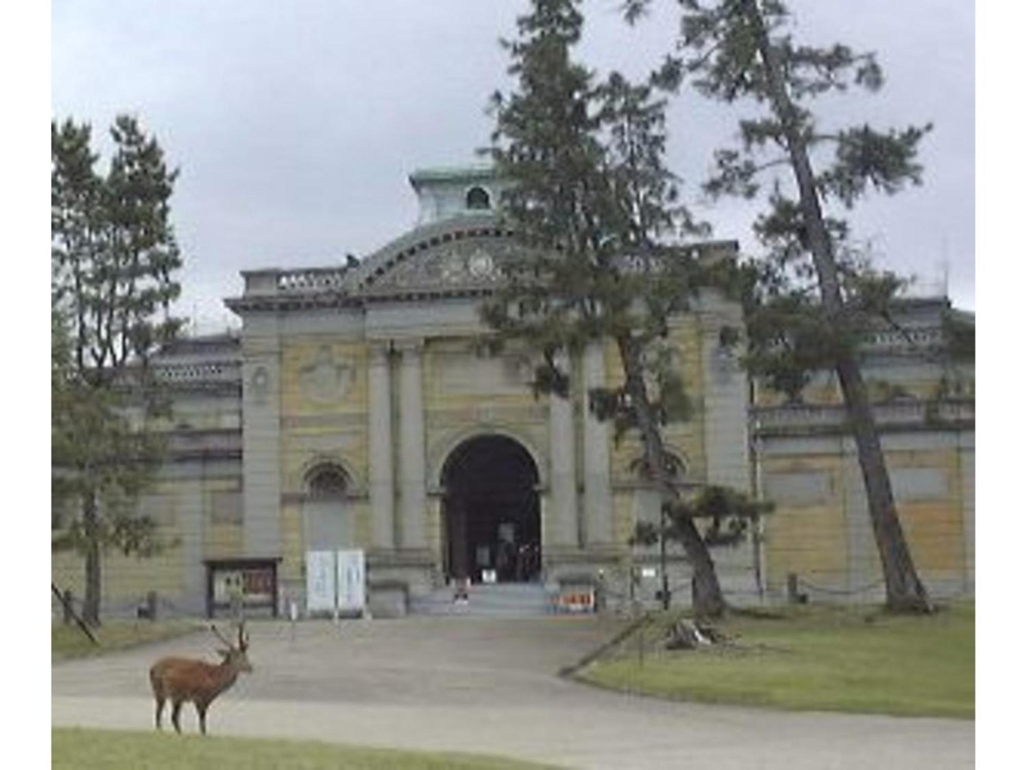 Hotel Hanakomichi - Vacation Stay 27580V Nara Exteriör bild